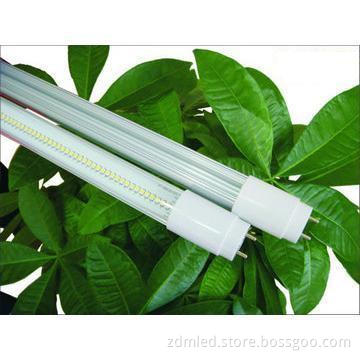 60CM T8 LED Tube 10Watt Warm White 3000±300K